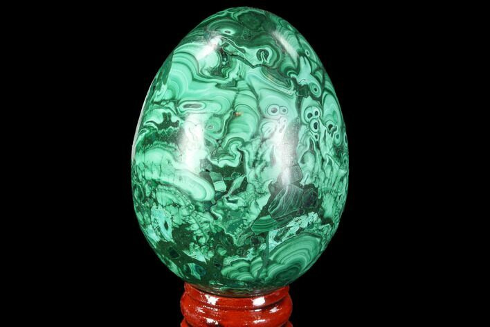 Stunning Polished Malachite Egg - Congo #89671